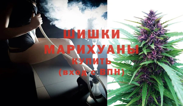 мяу мяу мука Медвежьегорск