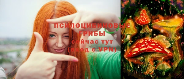 ECSTASY Мегион